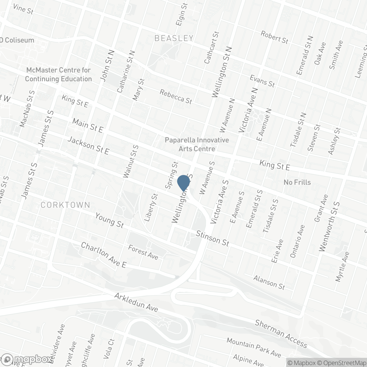 58 WELLINGTON STREET S, Hamilton, Ontario L8N 2R1